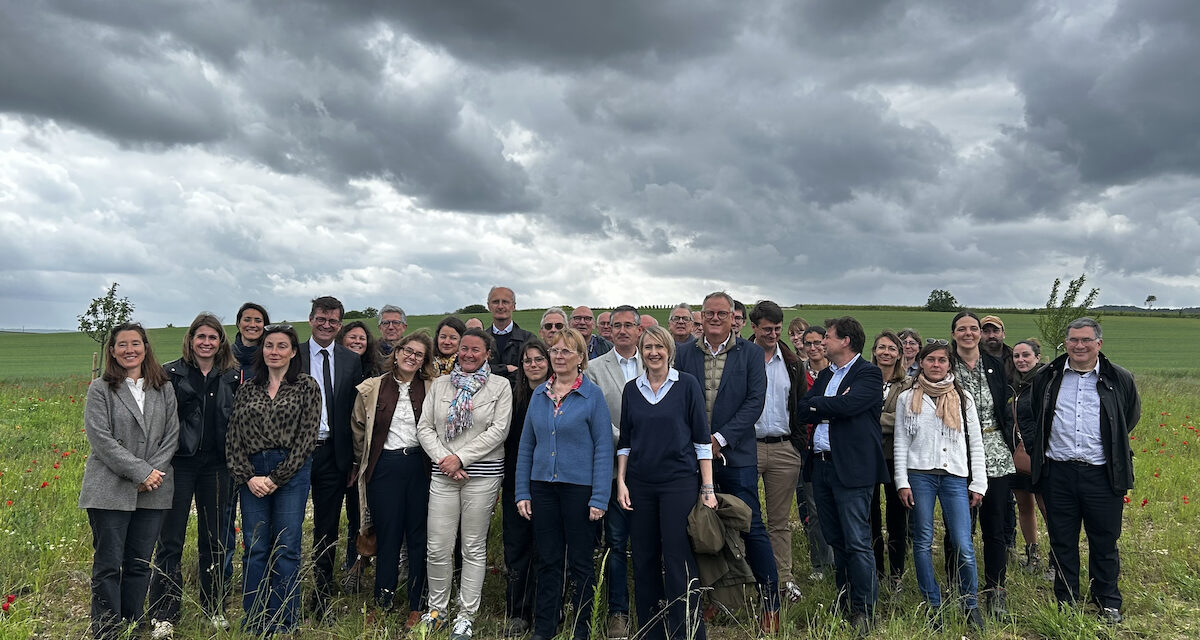 Biodiversité en Champagne : Ambonnay montre la voie