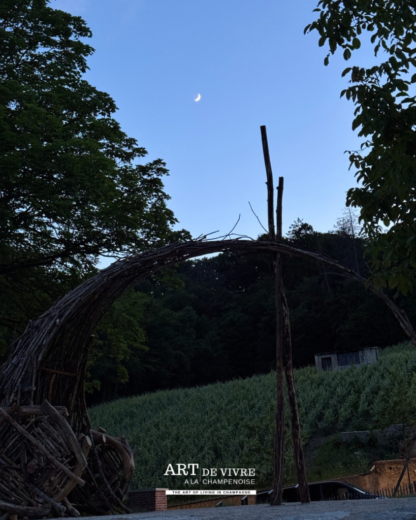 Hautvillers Parc Pierre Cheval sous la lune