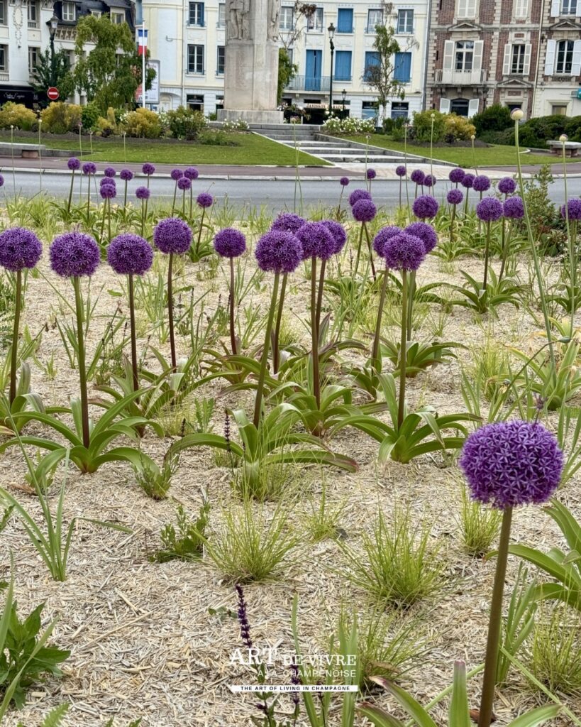 Ensemble florale autour de la place de la république à Epernay