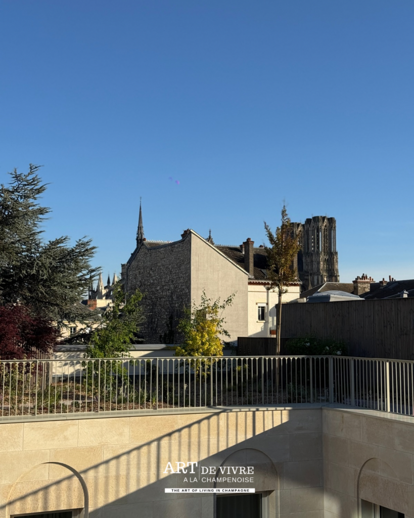 Vue sur la cathédrale Notre-Dame depuis Le 3