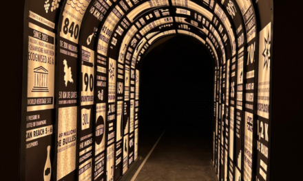 Le 3 : une visite immersive entre tradition et innovation au cœur des caves Thiénot à Reims