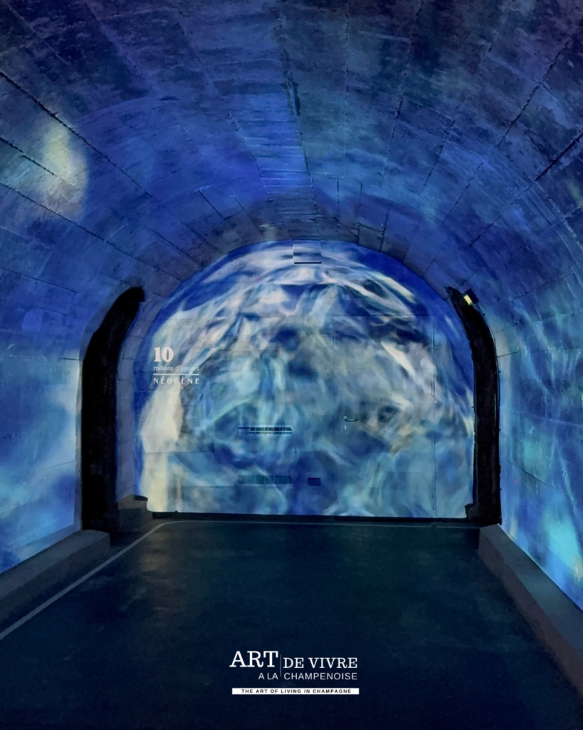 Installation audiovisuelle dans les caves Thiénot