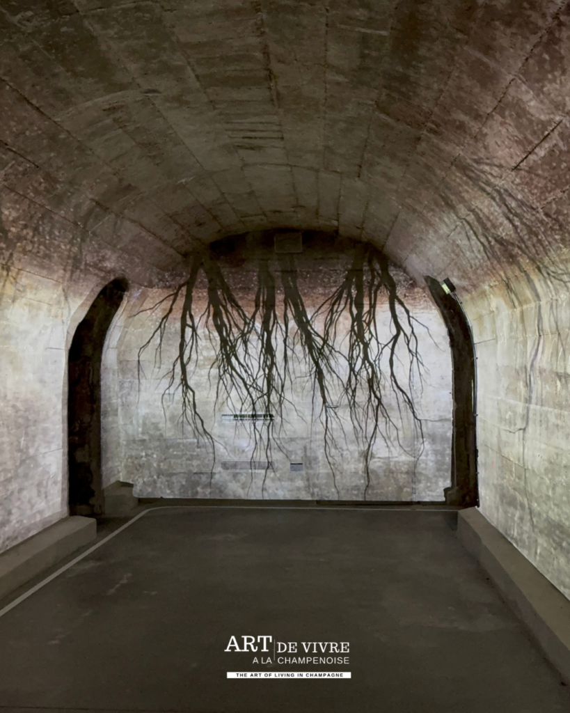 Installation audiovisuelle dans les caves Thiénot