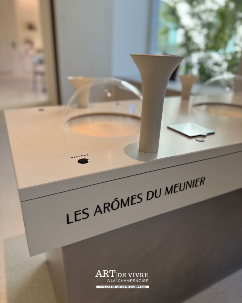 Parcours sensoriel du 3 rue du marc champagne thienot