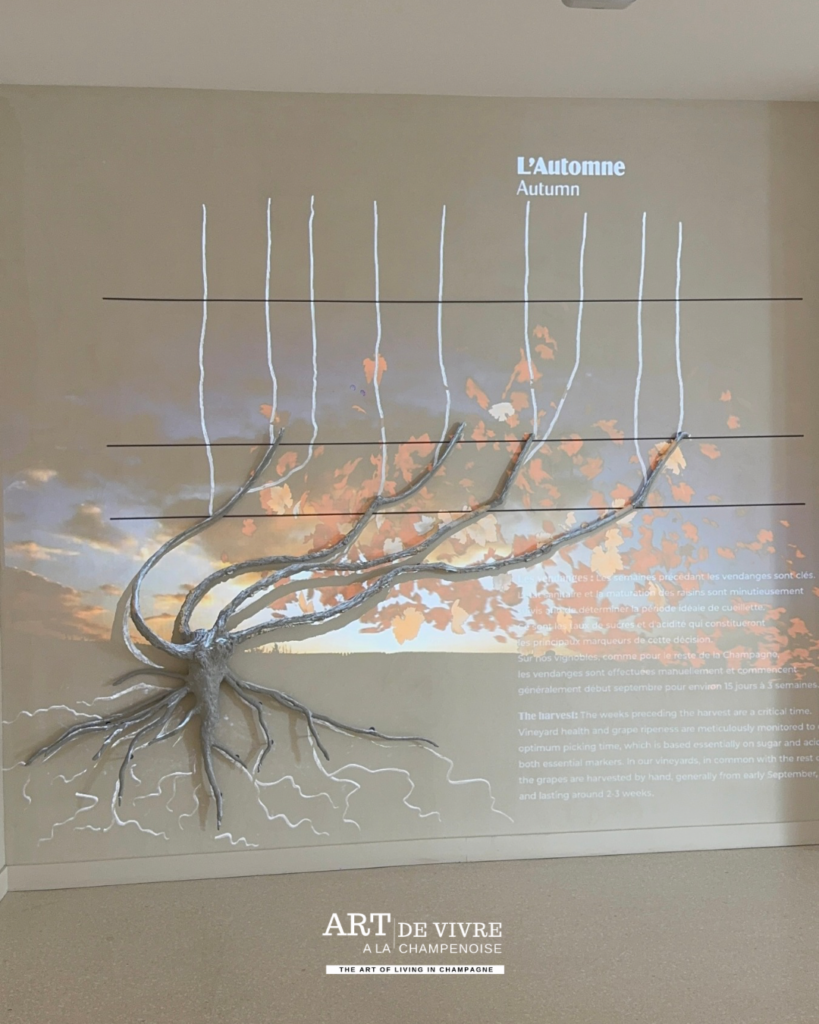 Expérience œnotouristique immersive à Reims