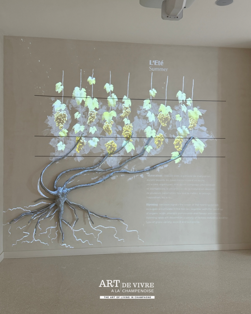 Expérience œnotouristique immersive à Reims