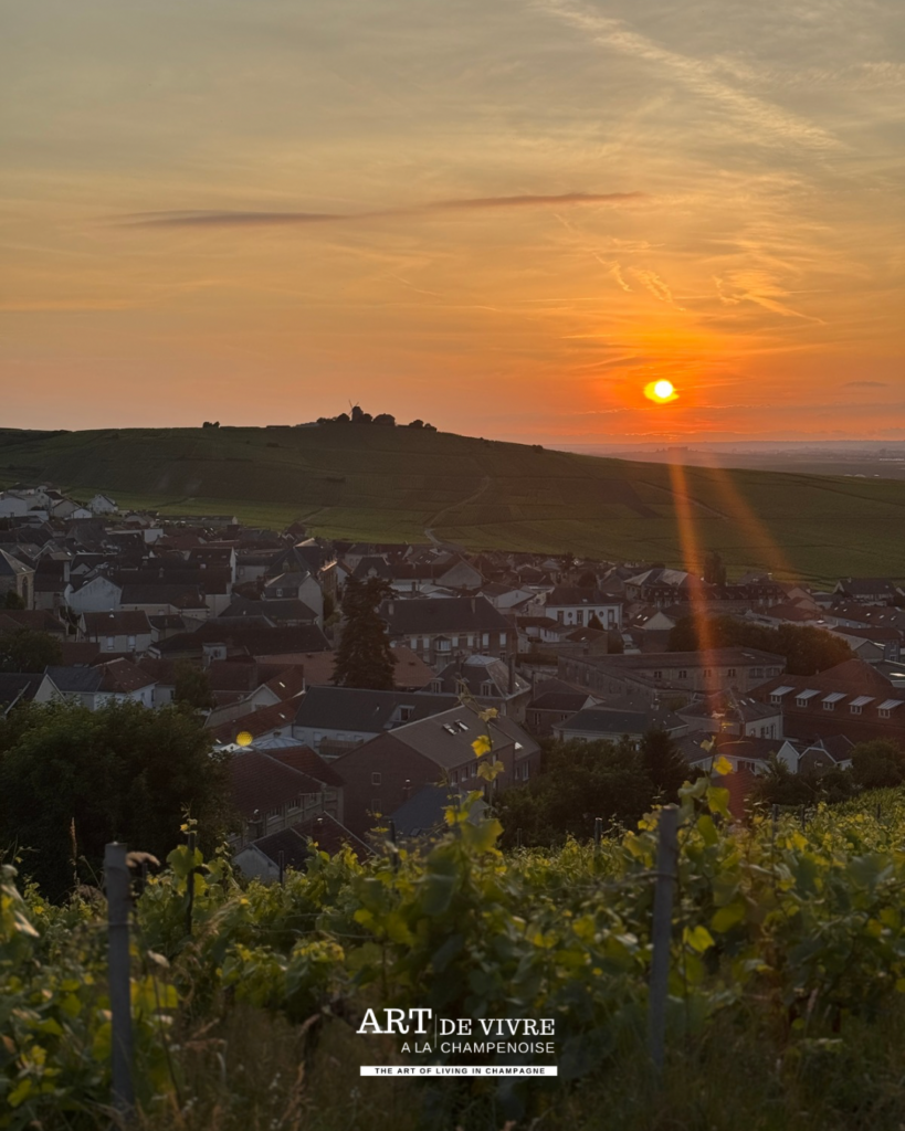 Vue depuis le Phare de Verzenay dans la Montagne de Reims sur le village de Verzenay