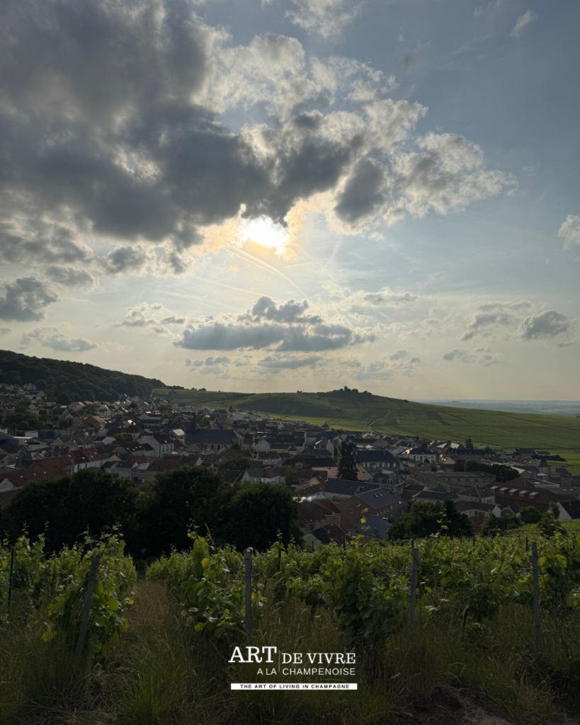 Vue depuis le Phare de Verzenay dans la Montagne de Reims sur le village de Verzenay