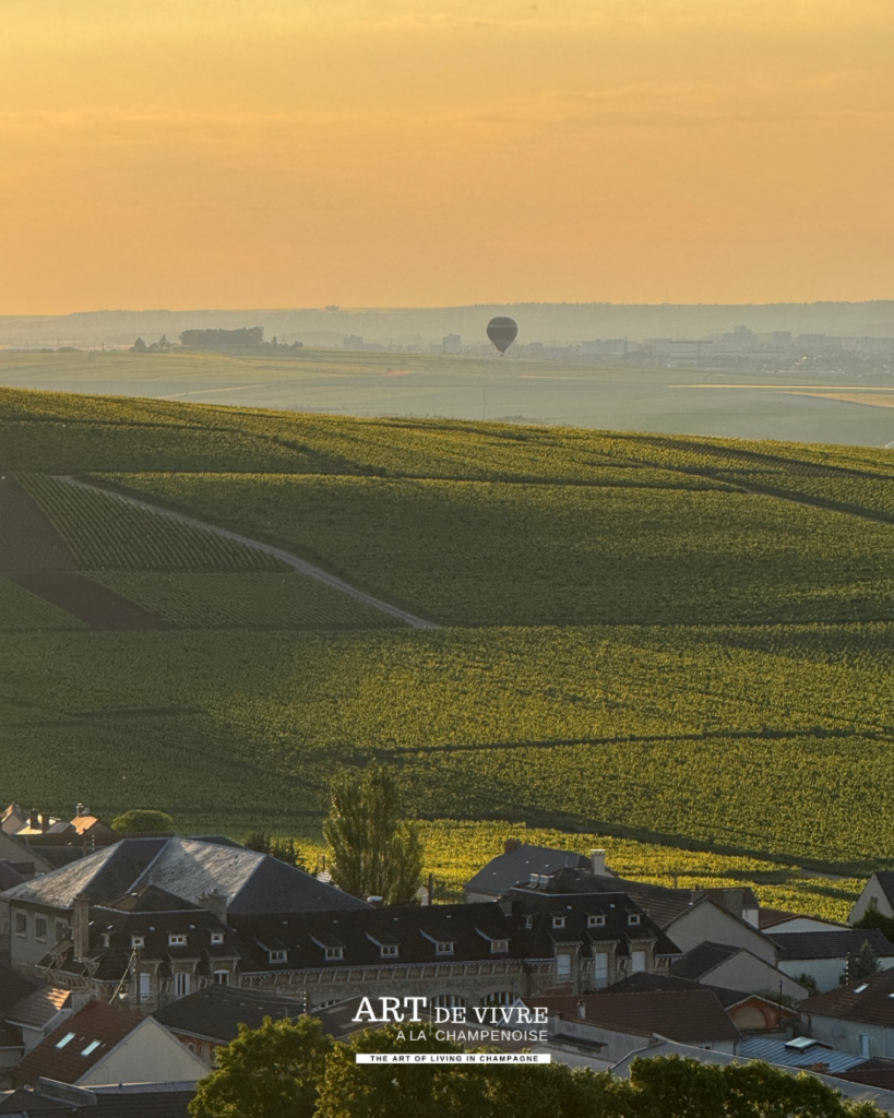 Vue depuis le Phare de Verzenay dans la Montagne de Reims sur le vignoble champenois