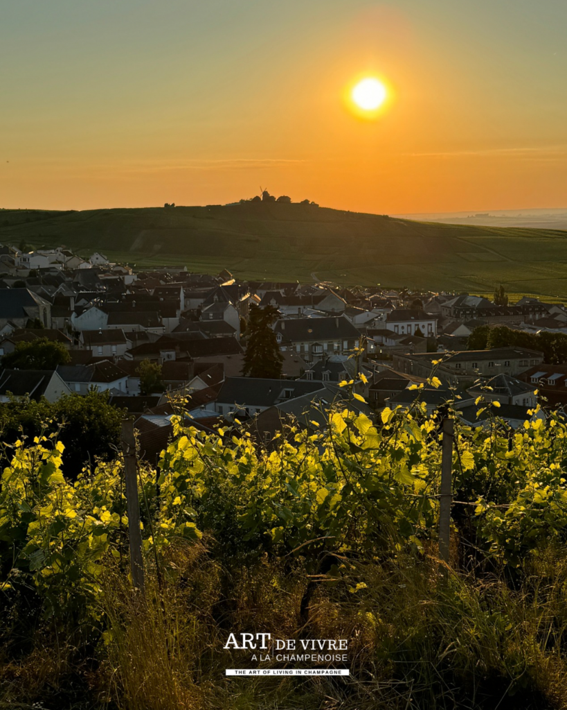 Vue depuis le Phare de Verzenay dans la Montagne de Reims sur le village de Verzenay au sunset