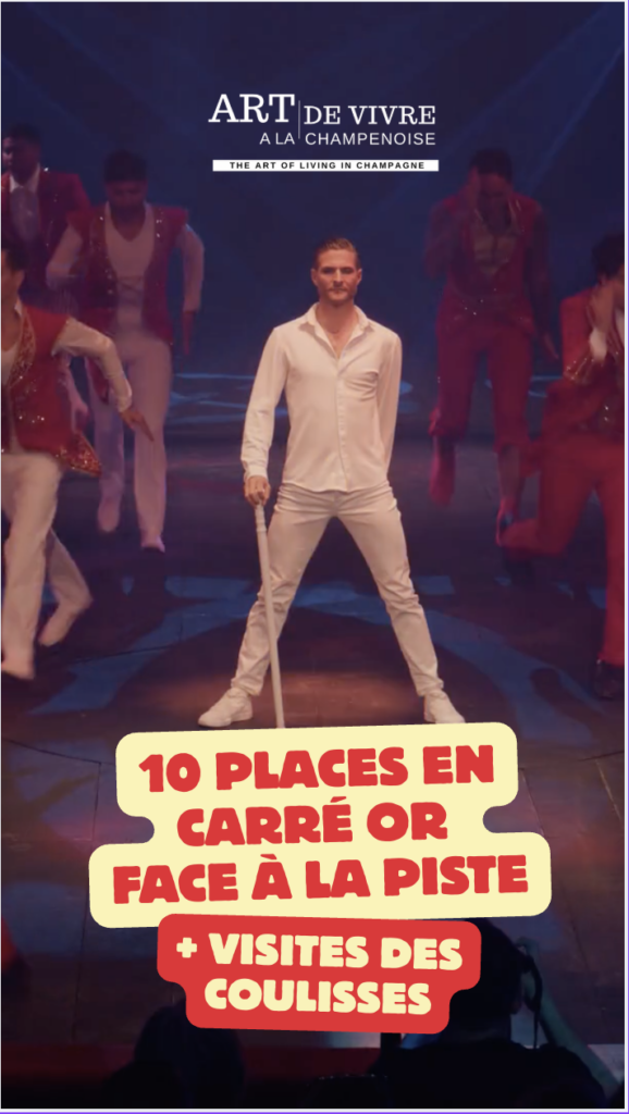 spectacle parenthese cirque arlette gruss artistes