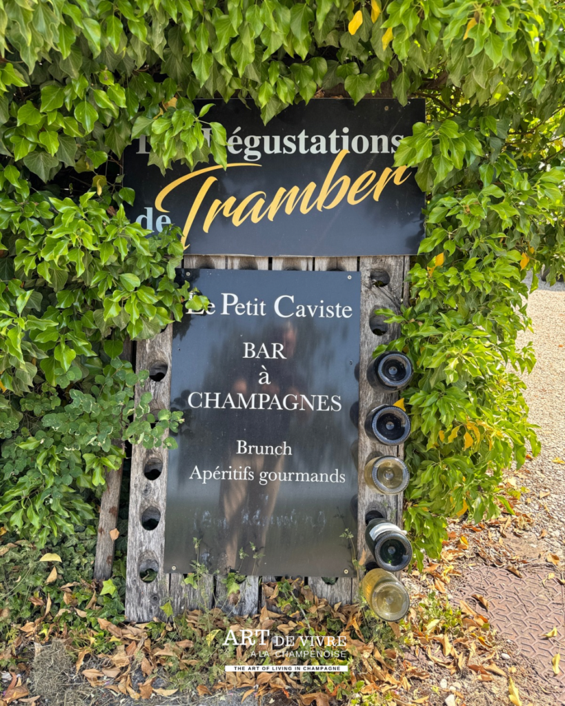 Degustations de Tranber Conciergerie du Champagne