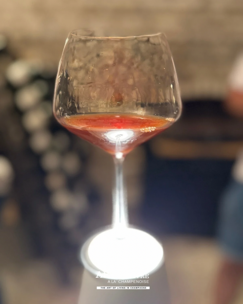 verre vin Barolo Nebbiolo dégustation
