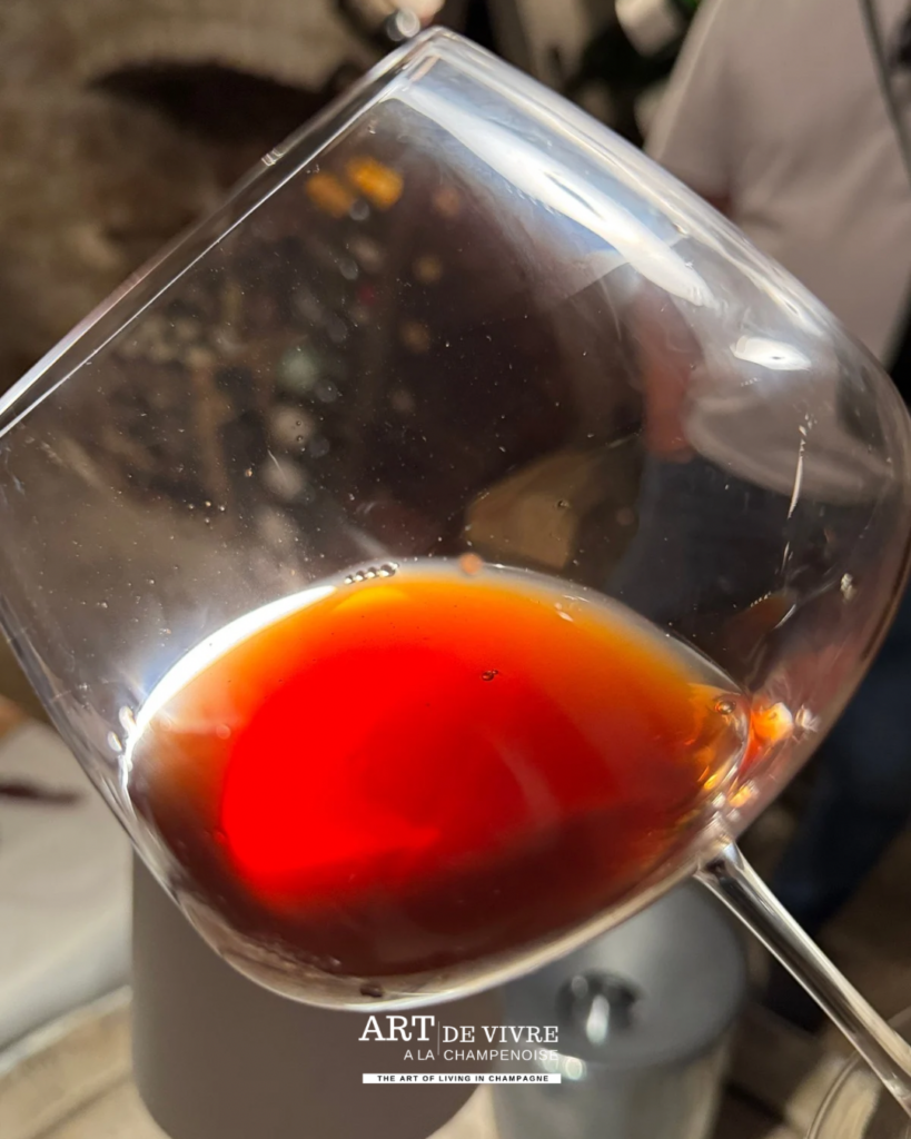 verre Barolo Nebbiolo dégustation conciergerie du champagne