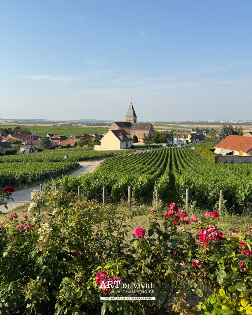 Vue sur le village de Sacy depuis le Chateau