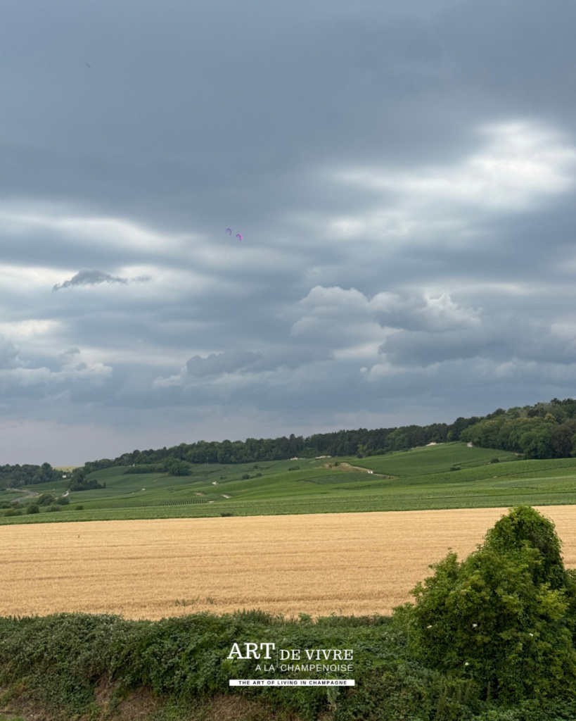 autour d'hermonville depuis a terrasse de Calomène et Palobec