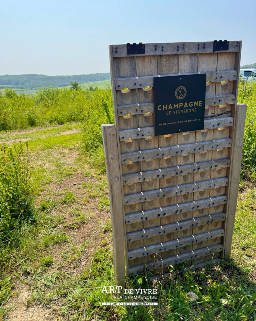 Champagne de Vignerons avec point de vue panoramique aménagé dans le vignoble de Baroville