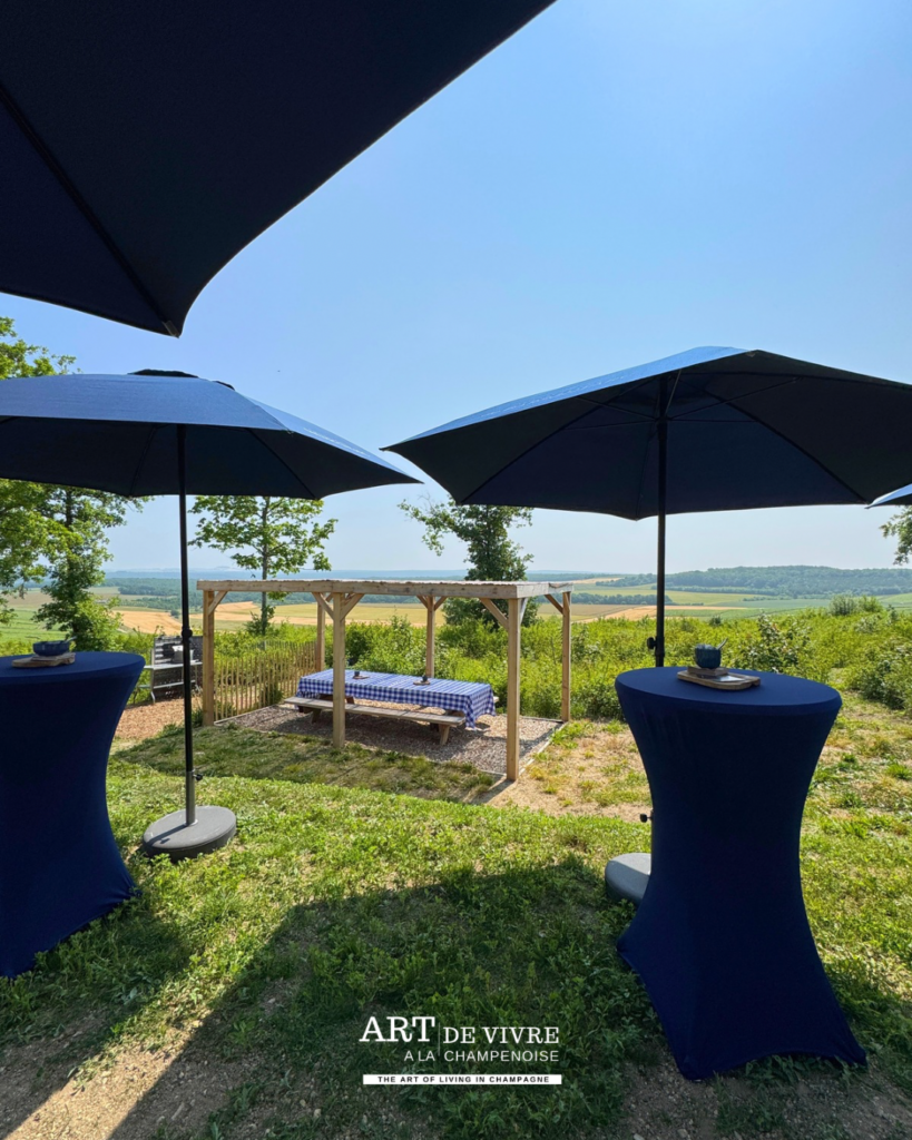 Aire de pique-nique aménagée par le Champagne de Barfontarc
