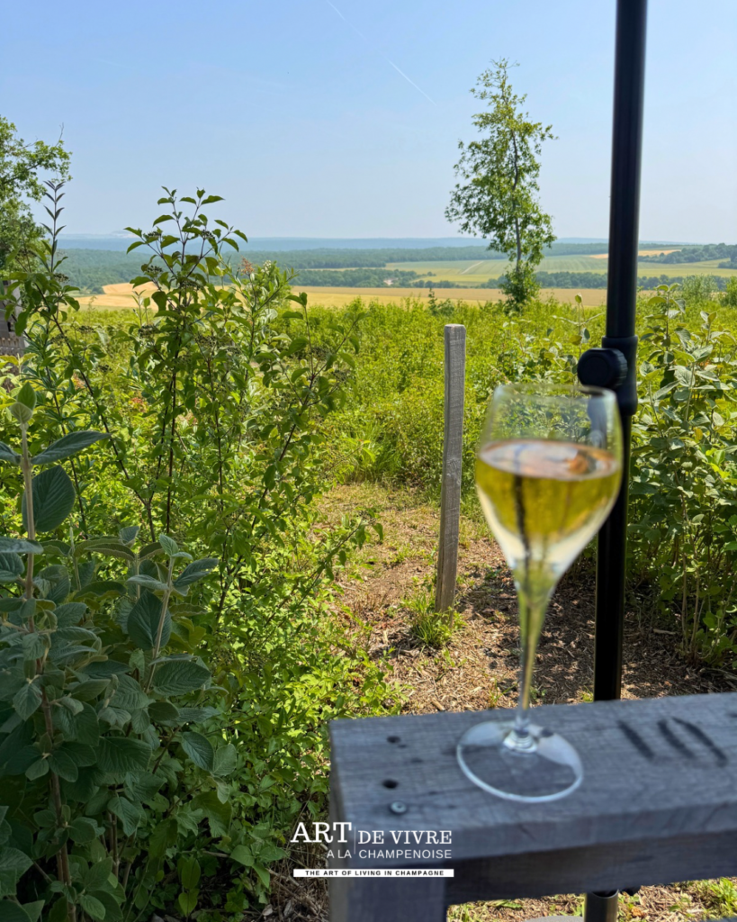 Champagne avec vue sur la vallée et le vignoble aubois depuis Baroville