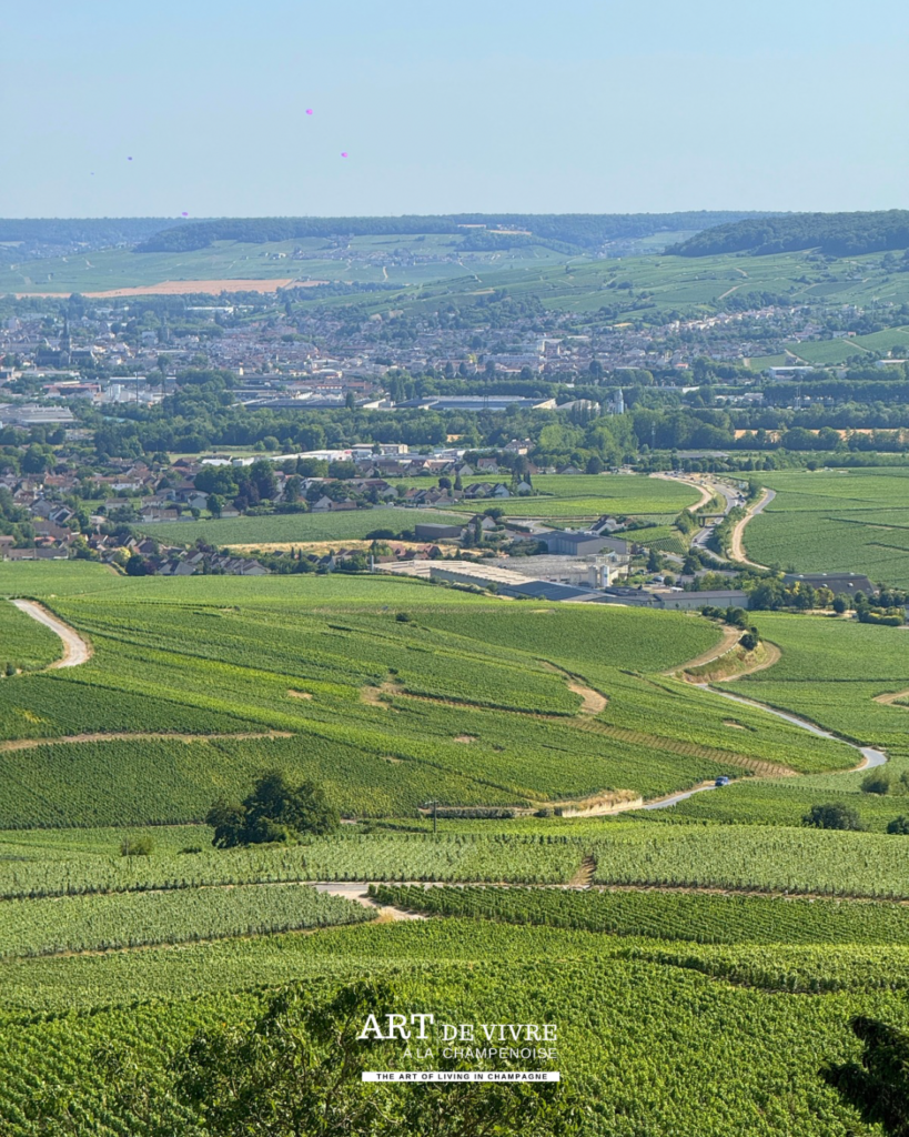 Panorama sur Épernay depuis la route de Champillon