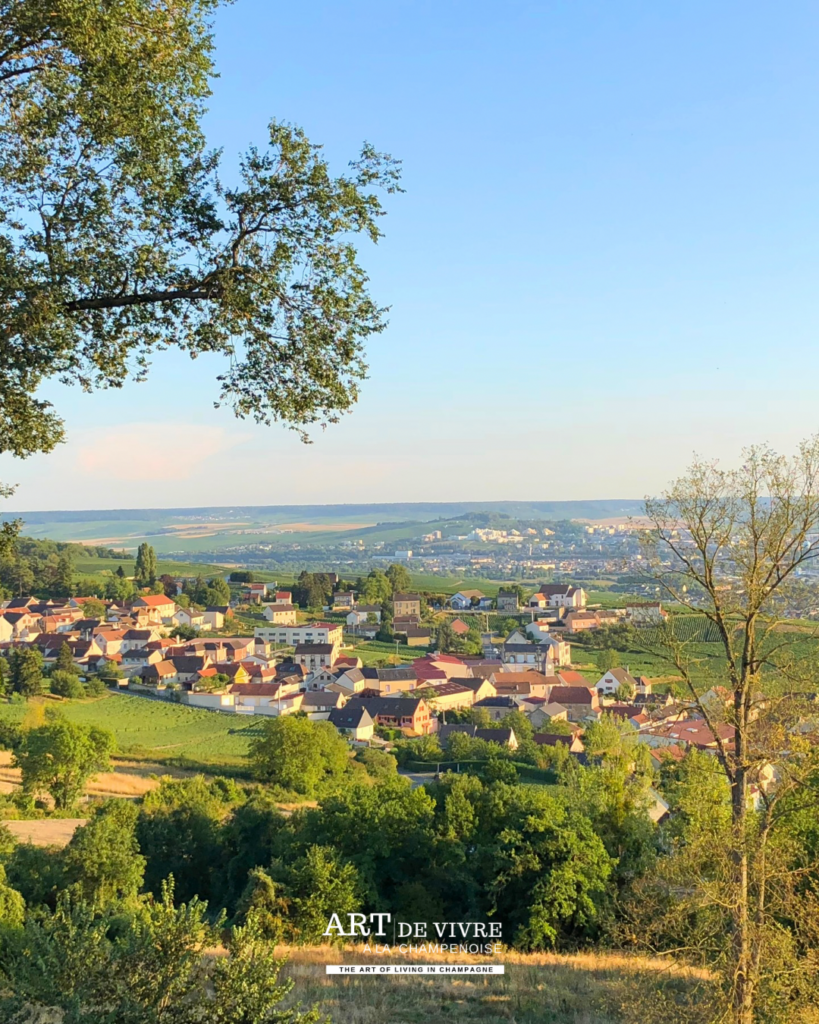 Table d’orientation de Champillon avec vue sur Épernay