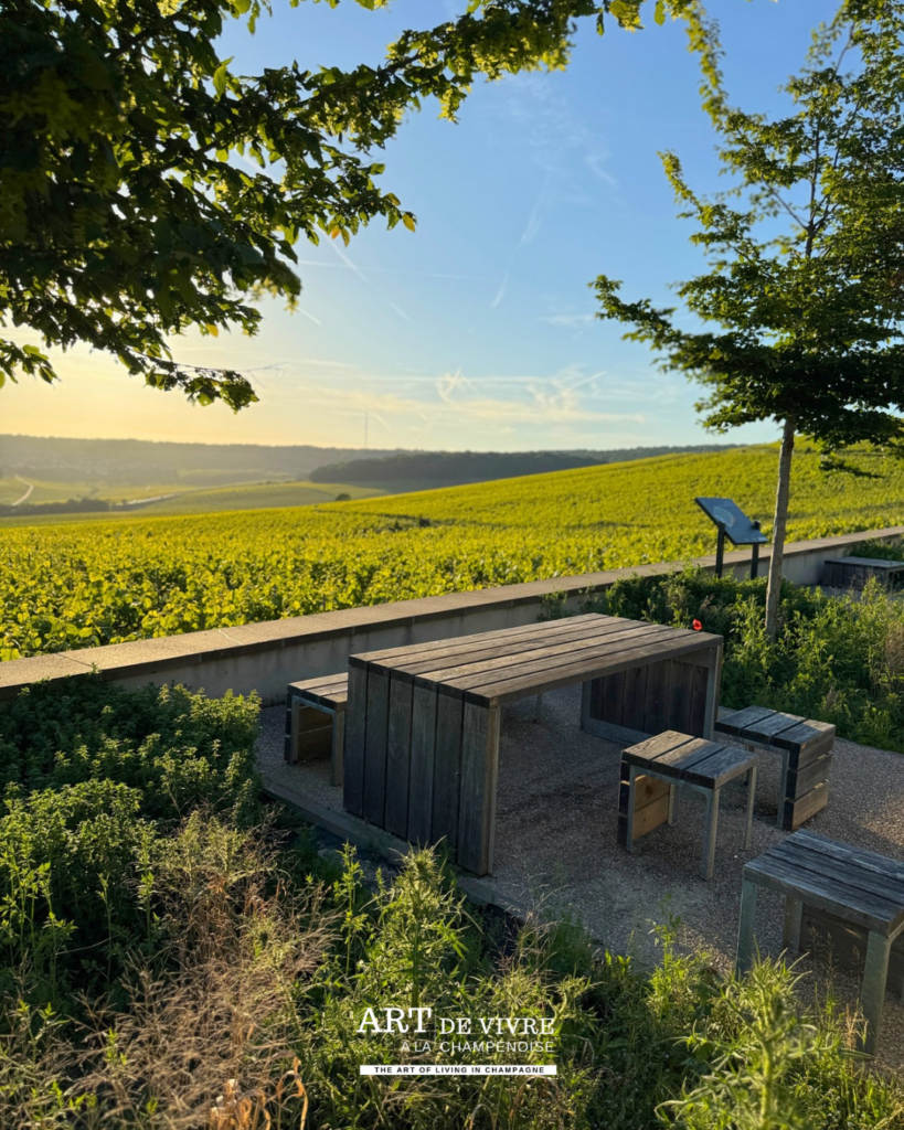 Aire de pique-nique entre Dizy et Champillon avec vue sur Hautvillers