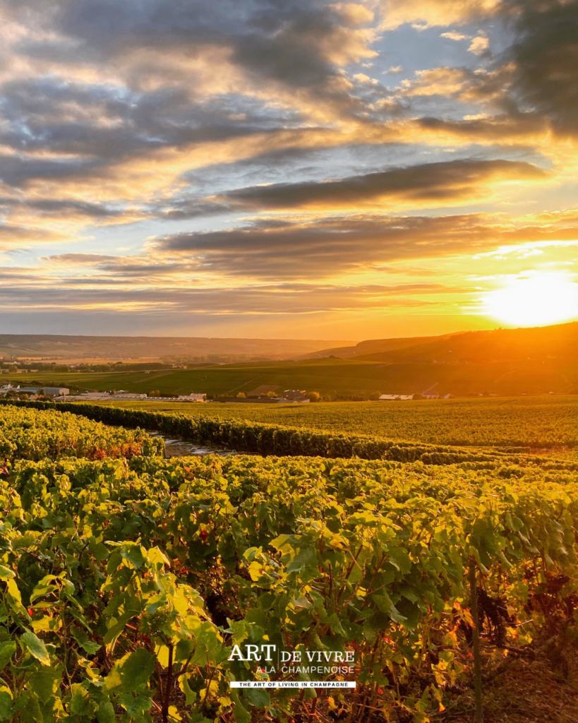 fin de journée sur la vallée de la Marne depuis Champillon