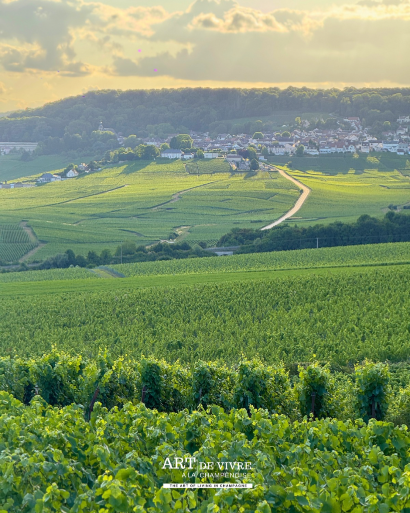 Panorama sur Hautvillers depuis la route de Champillon