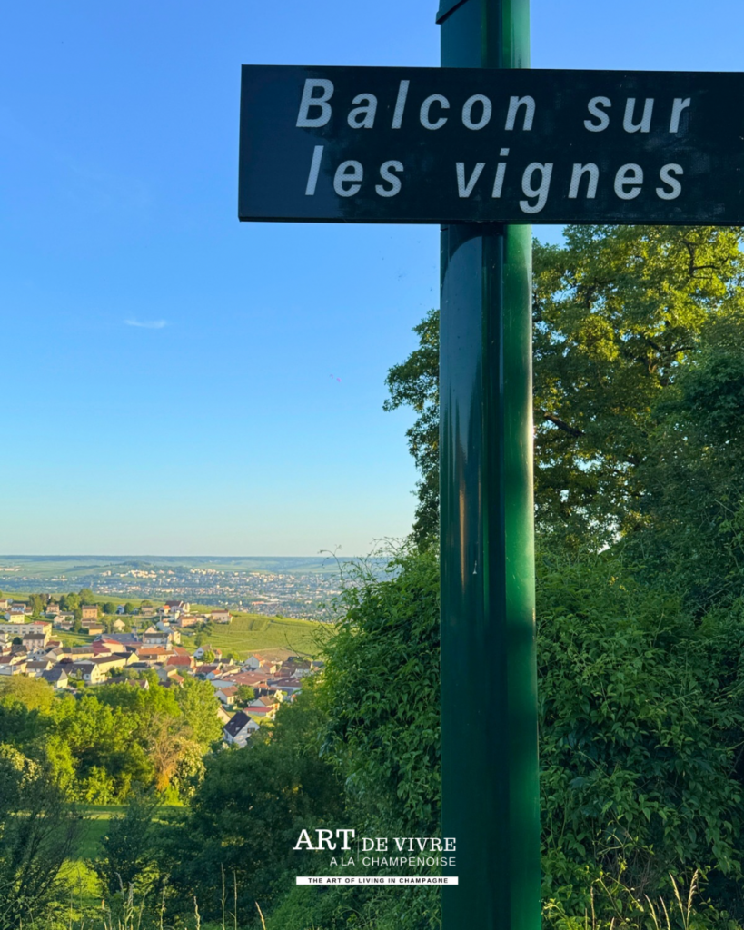 Balcon sur les vignes depuis Champillon