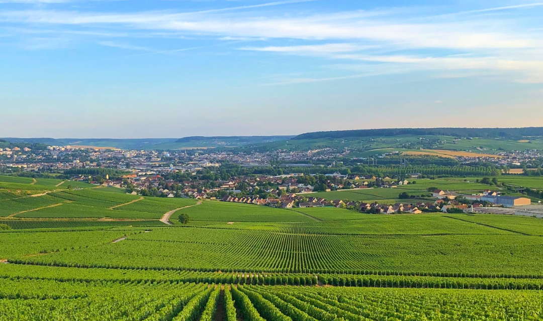 Où dormir presque dans les vignes en Champagne ? Cinq adresses pour prolonger le voyage