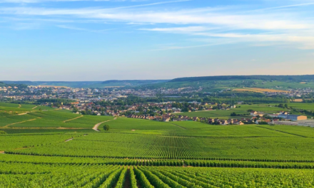 Où dormir presque dans les vignes en Champagne ? Cinq adresses pour prolonger le voyage