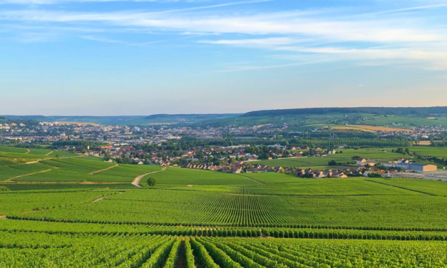 Où dormir presque dans les vignes en Champagne ? Cinq adresses pour prolonger le voyage