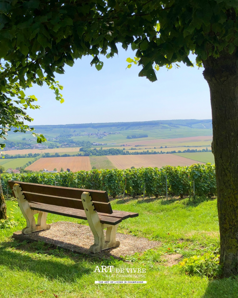 Tables et bancs face au vignoble de Châtillon-sur-Marne