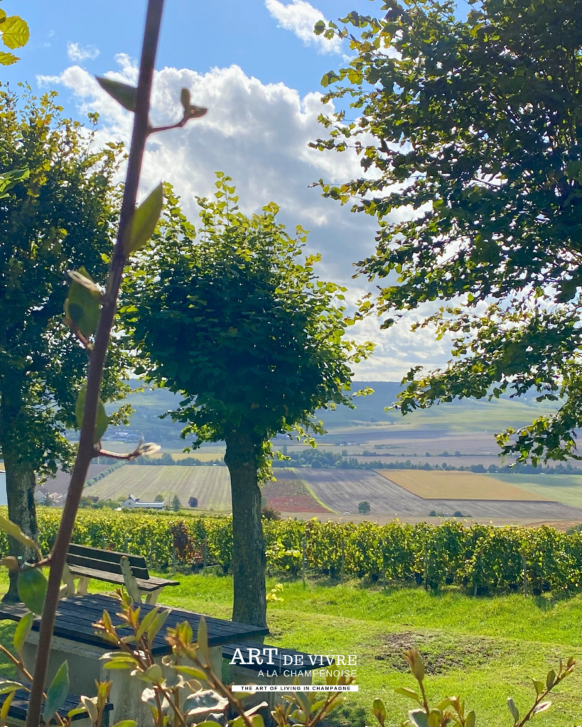 Panorama sur la vallée de la Marne depuis Châtillon-sur-Marne