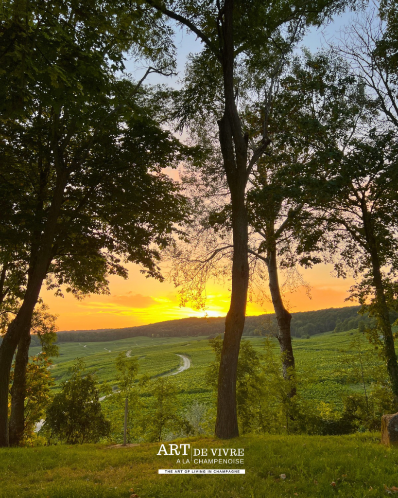 Coucher de soleil sur la vallée de la Marne à Hautvillers
