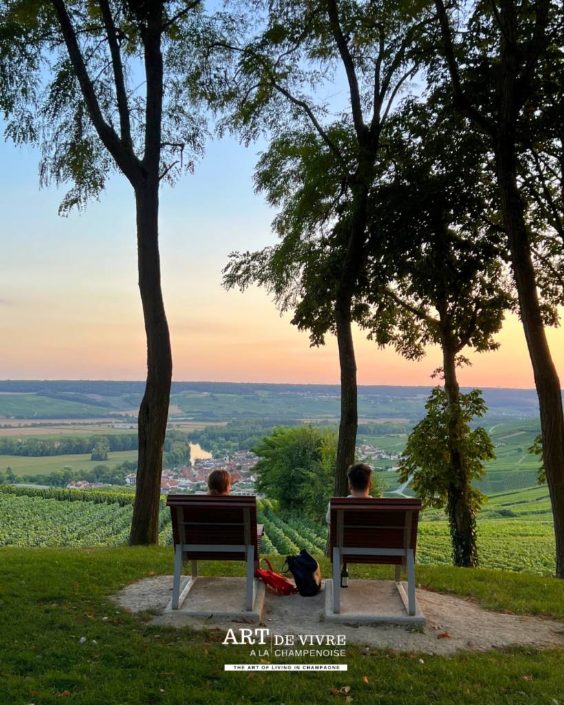 Paysage de fin de journée sur les coteaux de Cumières