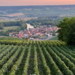 Villages et Coteaux propres : la Champagne se mobilise