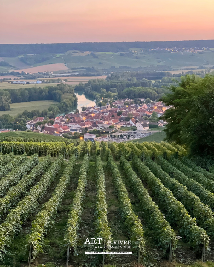 Vue sur Cumières et la vallée de la Marne depuis Hautvillers