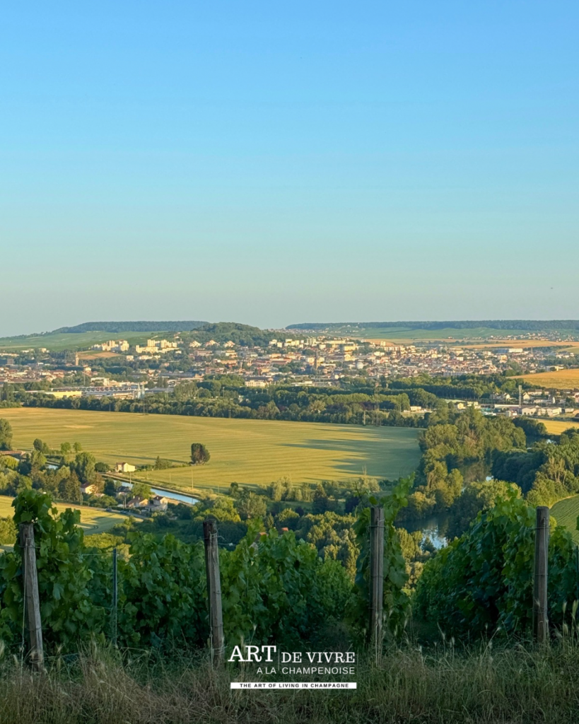 Vue panoramique sur Épernay depuis les hauteurs de Hautvillers