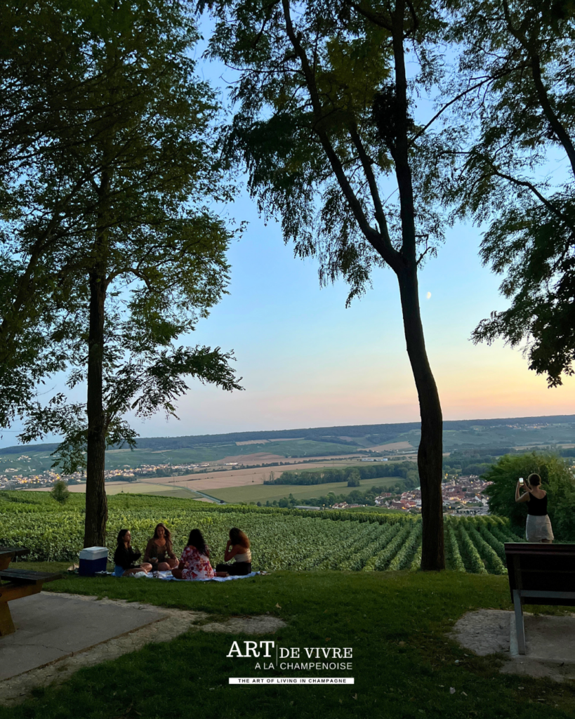 Aire de pique-nique de Hautvillers avec vue sur Cumières