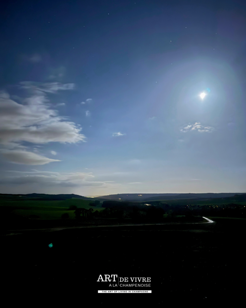 Paysage de pleine lune entre vignoble et forêt sur les hauteurs de Louvois