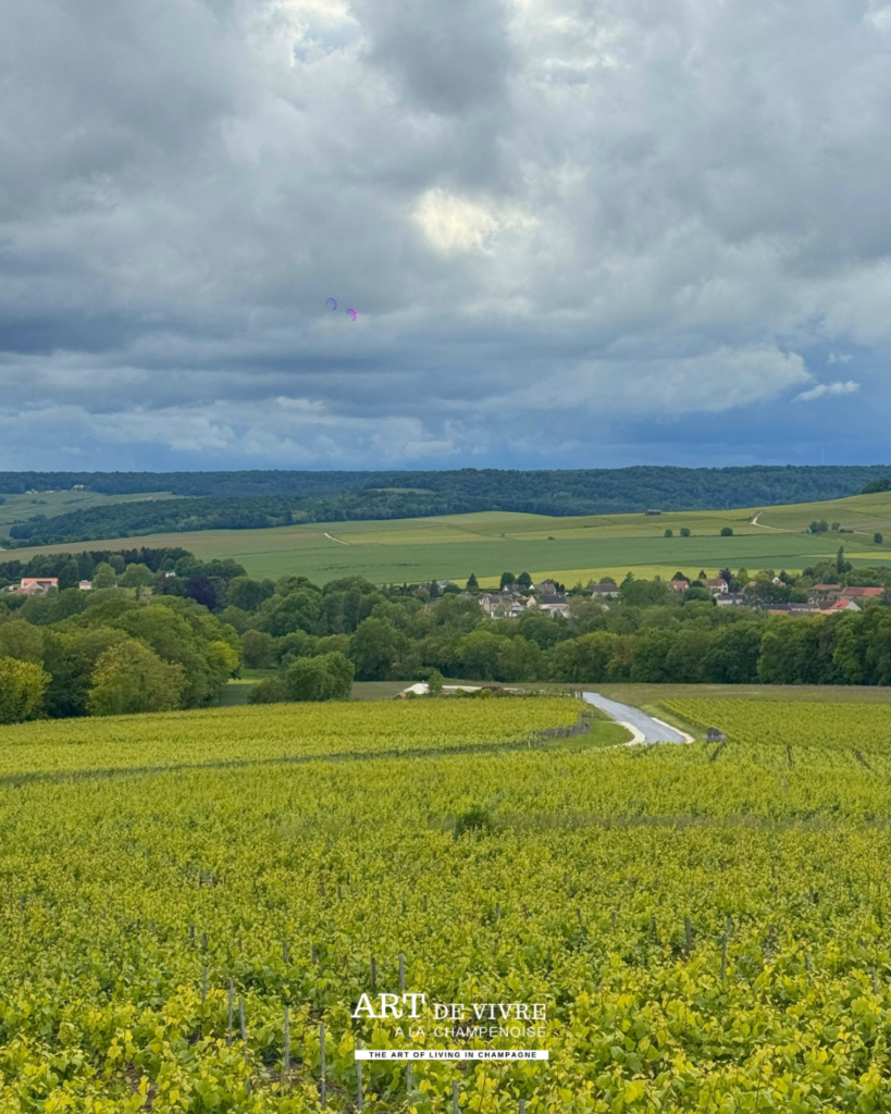 Aire de pique-nique au-dessus de Louvois avec vue sur le Val de Livre