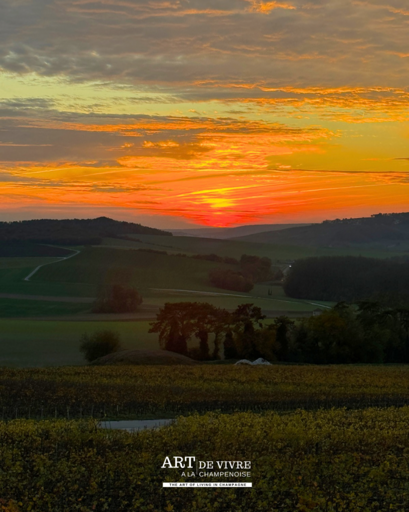 Sunset depuis le point de vue aménagé entre Louvois, Ambonnay et Bouzy