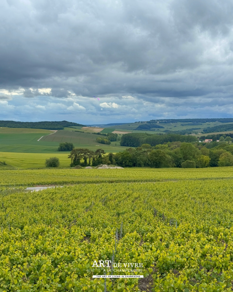 Aire de pique-nique au-dessus de Louvois avec vue sur le Val de Livre