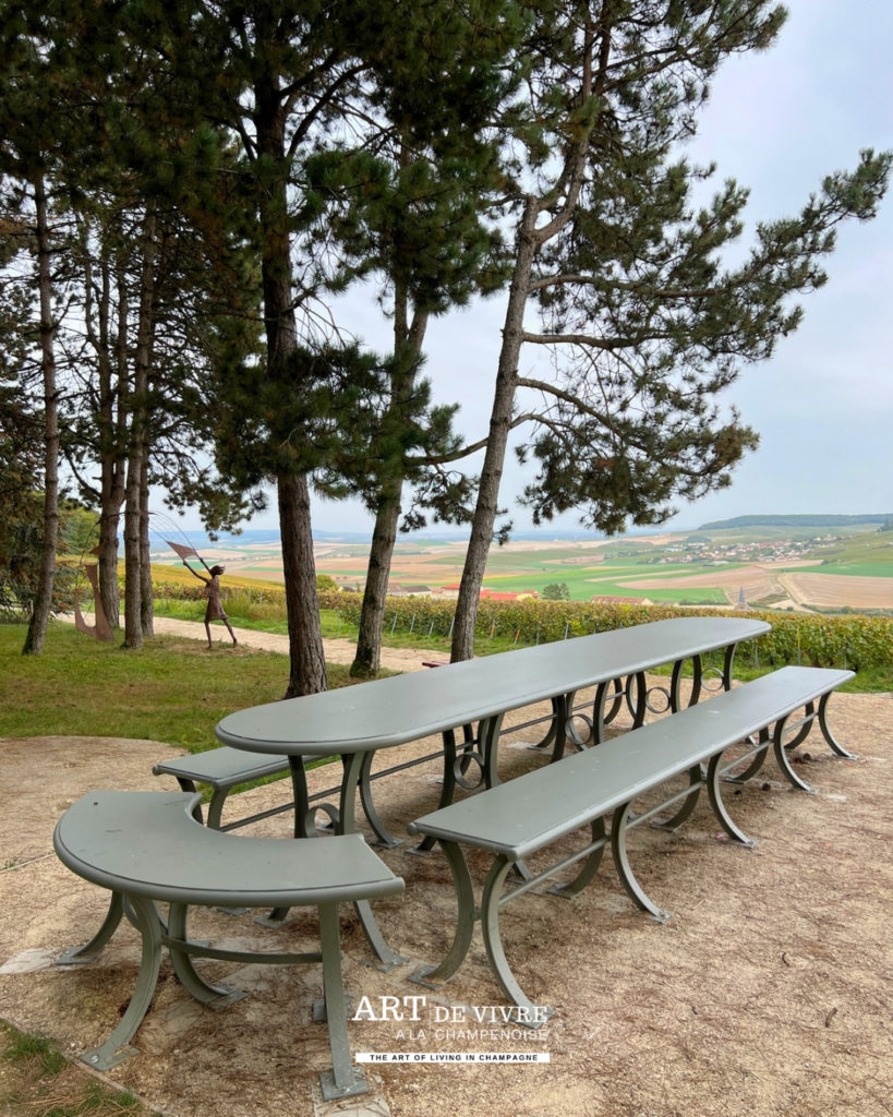 Table de pique-nique face aux vignes sur les hauteurs de Monthelon