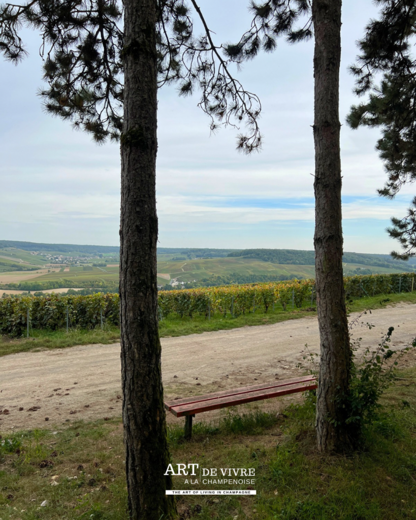 Panorama sur Grauves, Cuis et les coteaux de la Côte des Blancs