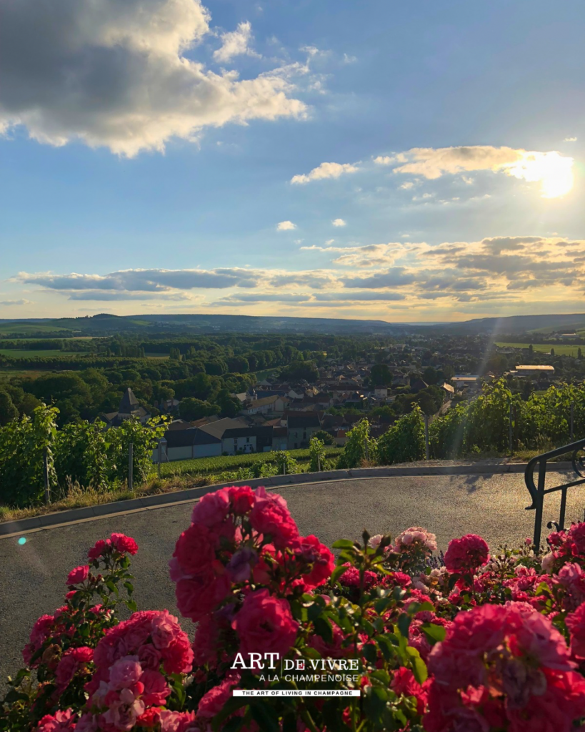 Fin de journée avec Vue sur Épernay et la Côte des Blancs depuis le mont Gruguet