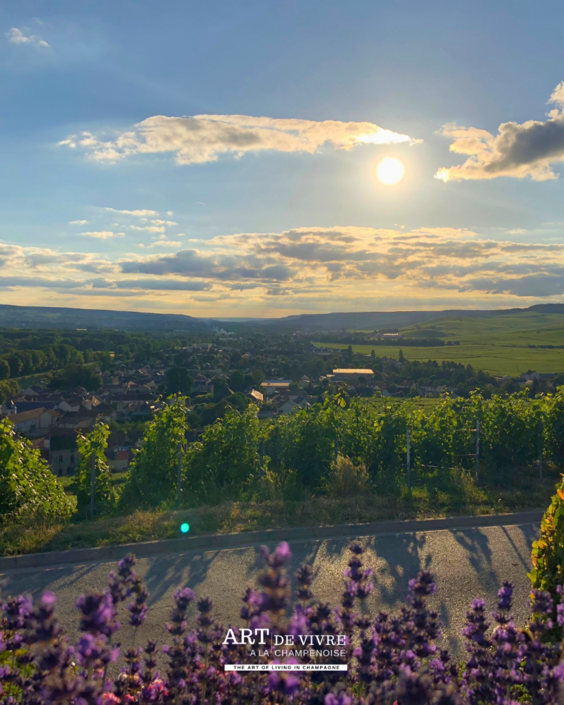 Vue sur Épernay, aÿ et la vallée de la marne depuis le mont Gruguet