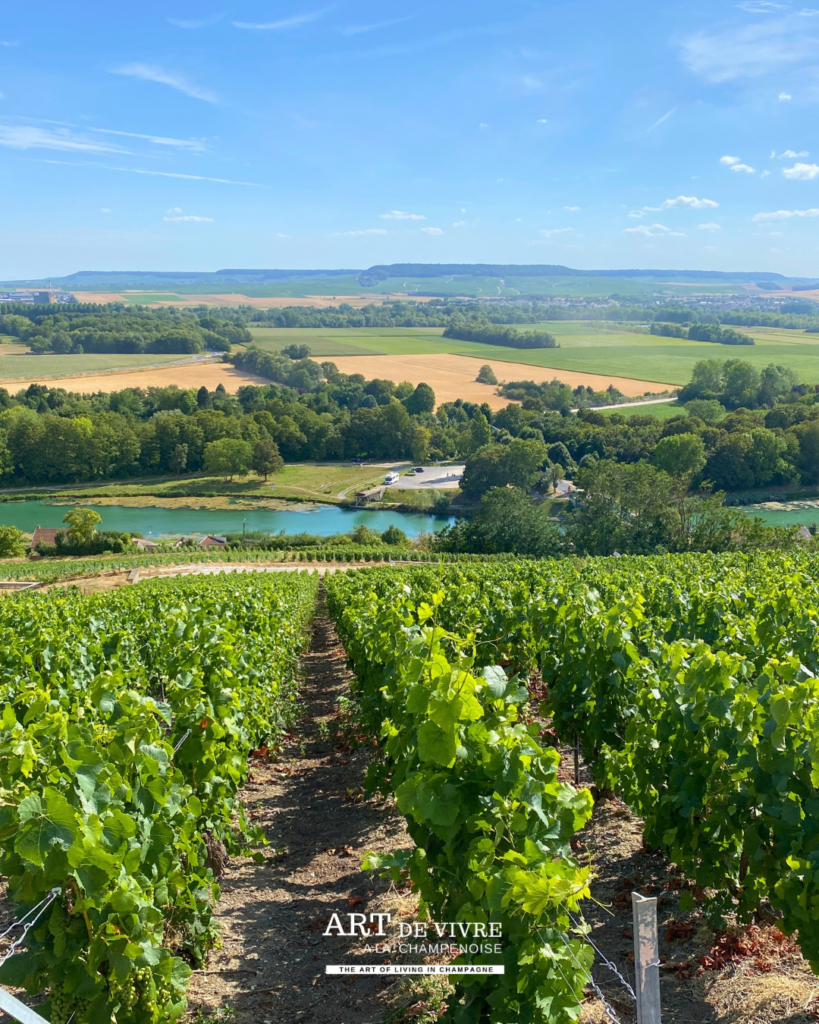 Vue sur Mareuil-sur-Aÿ, la côte des blancs, et le canal latéral à la Marne