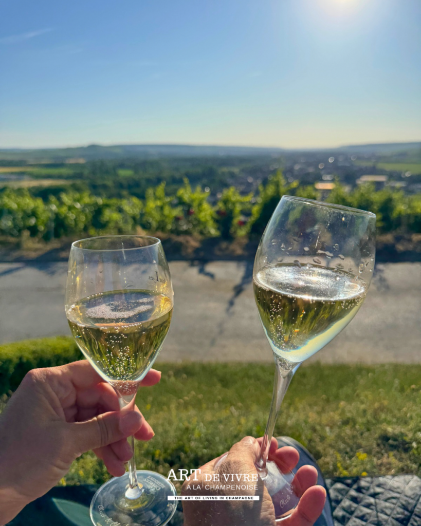 Apéro Panorama sur Aÿ-Champagne, Epernay et la vallée de la Marne